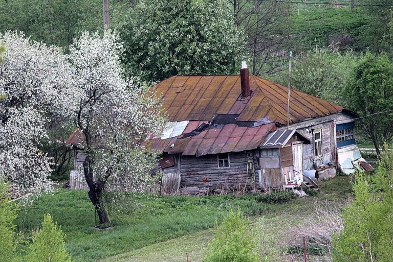 “Веселе” життя з недбайливими сусідами, що живуть за рахунок дітей