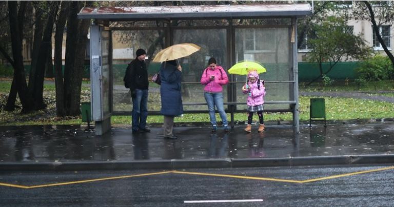 Свекруха покликала мене на свій день народження. Але те, що вона там влаштувала, було за межею абсурду.