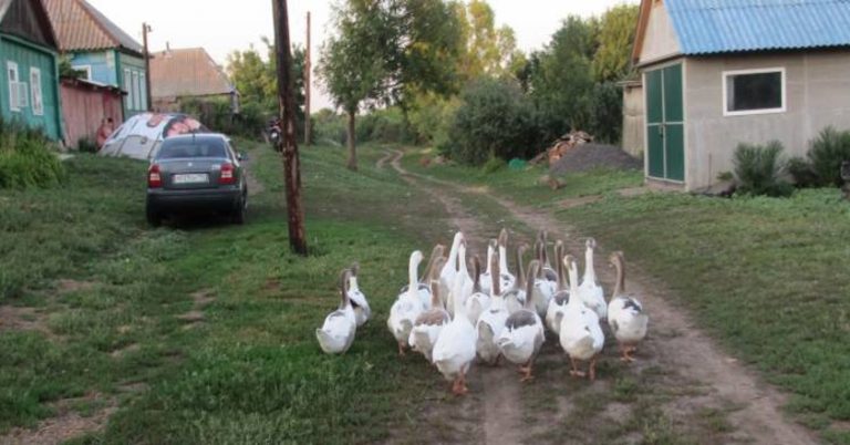 Незнайомка в магазині запитала Юлю про якусь адресу. Очі жінки на лоб полізли, адже це була  її адреса
