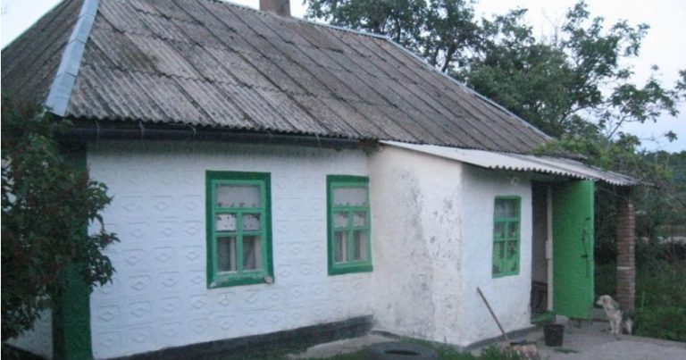 Василина з чоловіком попрямувала в село, так як там знайшли машину за низькою ціною. Але увійшовши в будинок nродавців, вони скам’яніли