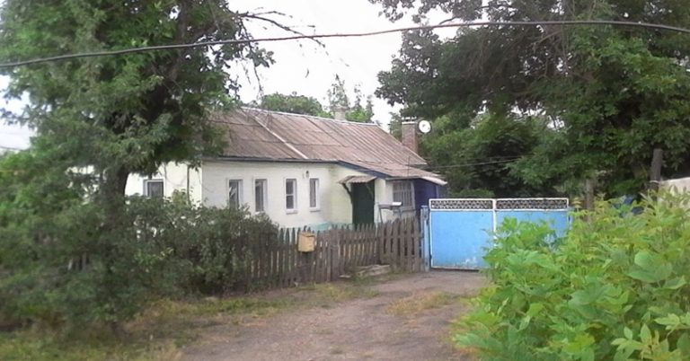 Після роз лучення Світлана залишилася жити зі свекрухою. Одного разу вона повернулася додому і побачила на дачі робітників. Свекруха одразу сказала, що одному з них вона вже Світлану порадила.