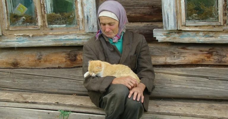 Одного ранку Маша прокинулася від дзвінка своєї племінниці, яка привітала її з весіллям сина. Маша спочатку не зрозуміла, в чому вона, і весь день намагалася додзвонитися до сина. Проте..