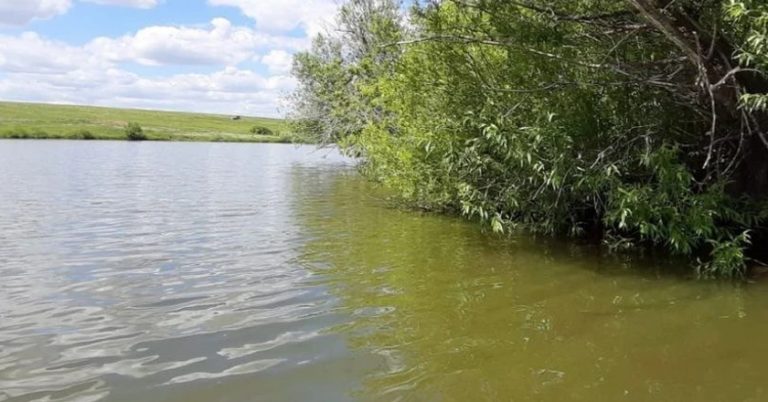 Вчителька дякувала рятувальника, який врятував життя її онука. Яке ж було здивування, коли пона впізнала в ньому свого учня – двоєчника.