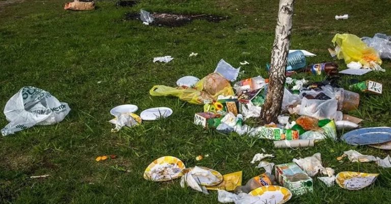 Ми з чоловіком організували пікнік, коли відвідали маму в селі. Під кінець дня, коли ми вирішили зібрати сміття, мама заявила  неймовірне, після чого мені стало за неї со ромно.