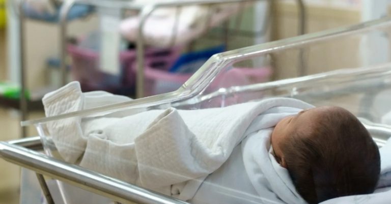 Коли Лізі запропонували волонтерську роботу в лікарні, вона ще не знала що, а точніше хтось, її чекає там