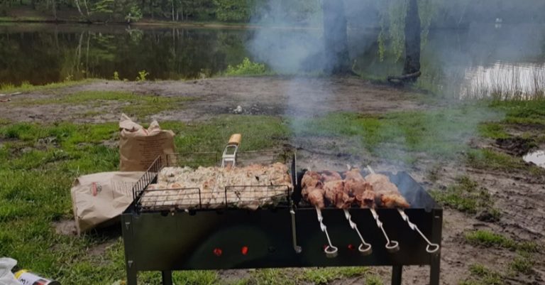 Ми з чоловіком повернулися на батьківщину та вирішили з родичами влаштувати пікнік на природі. Але після цього дня я дала собі слово більше не спілкуватися з ними