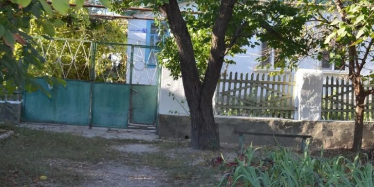 Син із невісткою розбилися на машині, а внучку взяли до себе дід із бабусею. Тільки ось бабуся була впевнена, що невістка внучку нагуляла