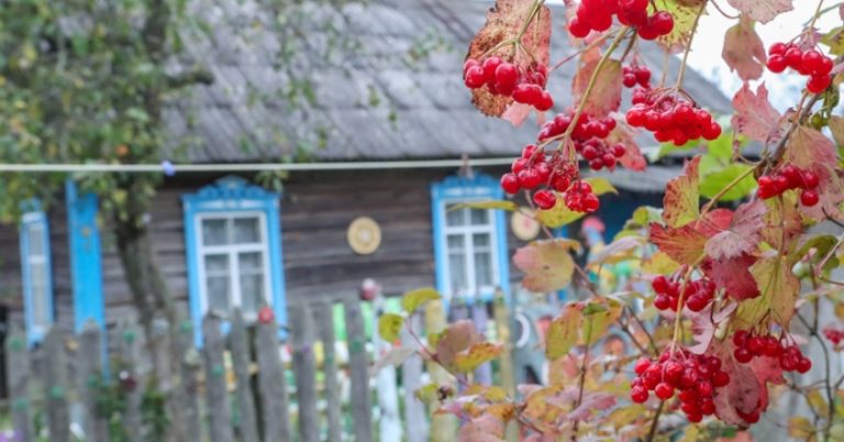 Мама довго кликала мене до себе та її нового чоловіка. Я нарешті погодилася, і лише побачивши її нового чоловіка, я зрозуміла – чому вона покинула мого батька