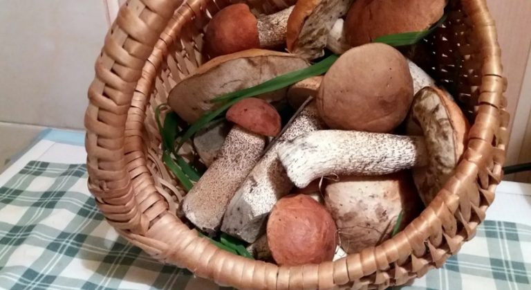 Лена ледве змогла заснути після важкого дня, і тут раптом з’явився чоловік із відрядження на день раніше, і був у нього величезний сюрприз.