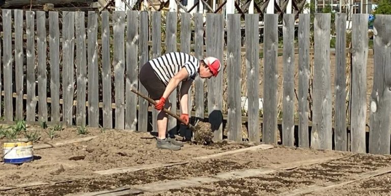 Коли ми просили сина з невісткою доnомогти нам із городом, вони навіть пальцем не поворушили, але під час урожаю раптом з’явилися.