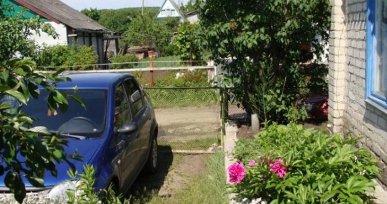Після того, як не стало чоловіка, Олена Василівна запросила сина з невісткою пожити разом. Тільки ось невістка ще не знала, що на неї чекає