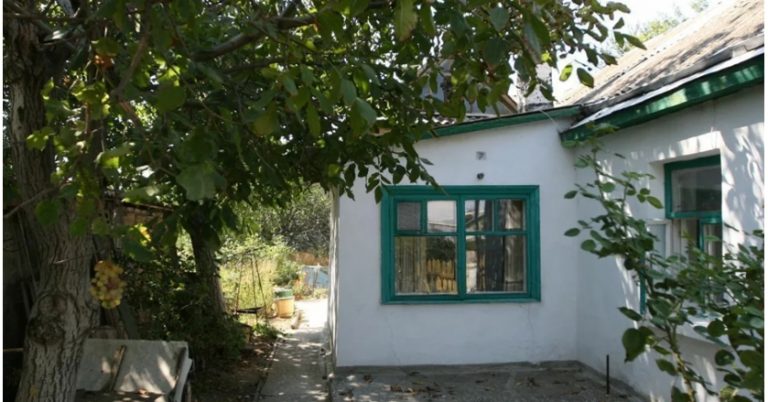 Оля радісно прийняла новину, що житимуть вони зі свекрухою, адже наївна дівчина думала, що та стане їй по-справжньому рідною.