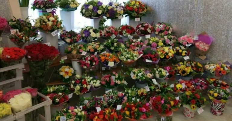 Вивіска квіткового магазину поруч просто мазолила мені очі. І одного разу я не витримала, увійшла туди посkаржитися. І ось чим це обернулося