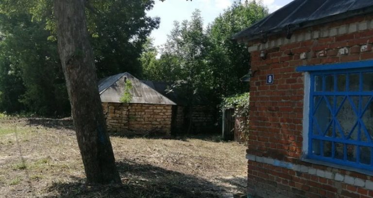 Таня відправила сина на дачу до бабусі на 3 місяці. Але незабаром Тіма подзвонив мамі і попросив забрати його з дачі якнайшвидше.