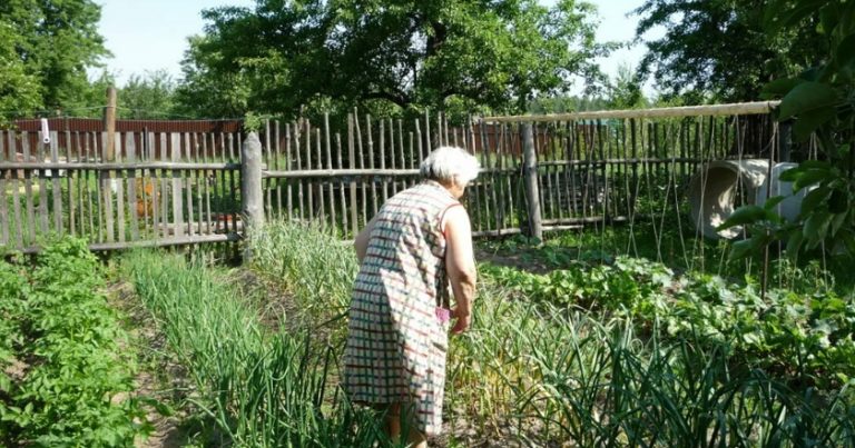 Наша дочка рвалася спілкуватися з бабусею, але та любила лише свою старшу онуку, дочку золовки. Але найприкрішим був заповіт свекрухи