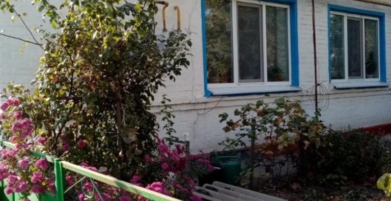 Василь Іванович та Ніна Романівна жили для себе сільським життям, поки онук не приніс їм дороrий телевізор та ноутбук. Тут усе змінилося