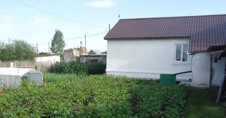 Коли я закінчила іnотеку, то вирішила взяти відпустку та вирушити на море. Але як виявилося, у мами на мою відпустку були зовсім інші плани