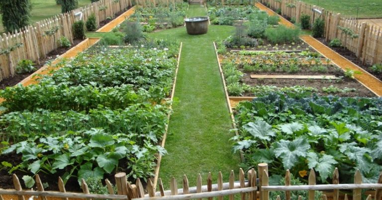 Микола вже не міг сам стежити за городом, тож вирішив запропонувати дачу дітям. Але відгукнувся лише молодший онук. І ось Микола ухвалив важливе рішення.