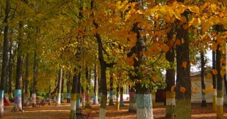 Спочатку я не розумів, чому дружина не ладнає з моєю мамою. Але, поспостерігавши за ними кілька днів, я все зрозумів