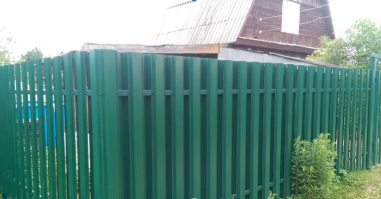 Нас не було на дачі 2 тижні. Сусіди за цей час поставили на нашій ділянці парник і посадили огірки з помідорами.