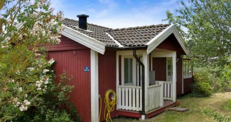 Я не знала як жити одній на селі. Мої діти вмовляли поїхати в місто. Але нещодавно стався інцидент, після чого все змінилося