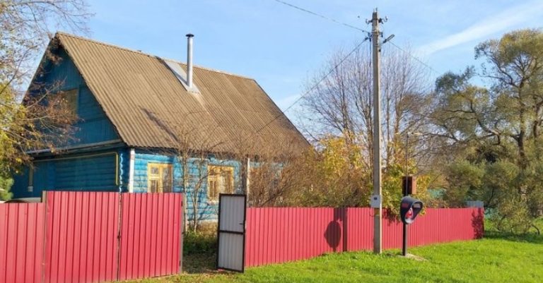 Діти від першого шлюбу вмовили батька одружитися з коханою жінкою, яка чеkала дитину.