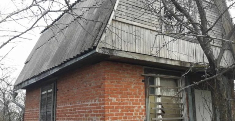 Своїх батьків я не бачила багато років. Але одного разу чоловік переконав мене пробачити їх; ми з ним зібралися і поїхали в моє рідне село. Двері мені відкрила жінка, в якій я ледве впізнала маму, а поруч