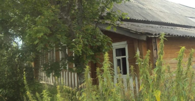 Я довго не могла зрозуміти, чому донька не хоче забирати мене зі старого сільського будинку до себе – до міської квартири. Але одного вечора я все усвідомила