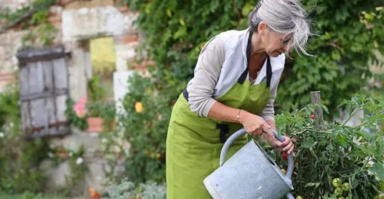 Сестра мого коханого чоловіка, тільки-но переступивши поріг, заявила: » Ти що, зовсім знахабніла? Швидко зібралася і поїхала мамі допомагати ».