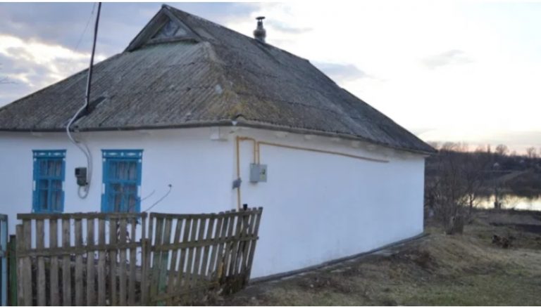 Вже був вечір. Зять привів додому свою тещу. Поставив дві її сумки на підлогу в коридорі, і вона пішла до Світлани.