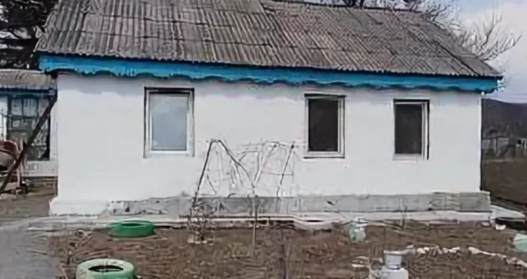 Багатий батько вирішив провчити сина — і відвіз його в село до бідняків. Закінчення експерименту змусило батька проковтнути язика