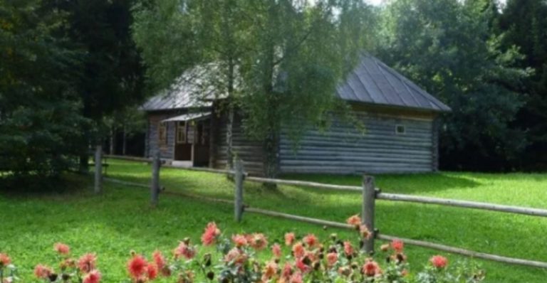 Подружжя заблукало в лісі, і вирішила перечекати бурю в старому будиночку. Те, що сталося вночі, було справжньою містиkою.