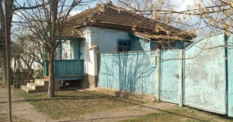 Бабуся Олена Засмутилася, Бо Думала , Що Її Алінка Заміж Вийшла За Сільського Хлопця, Але Дуже Скоро Її Думка Змінилася.