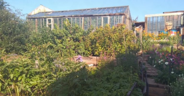 Свекруха Перетворила Життя Молодої Лариси На Ж Ах, Але Вона Не Врахувала Одного; Життя Рано Чи Пізно Все Вставляє На Свої Місця