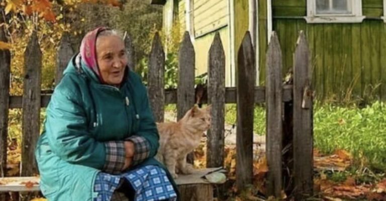 Міші Тоді Було Десять, Коли Дізнався, Що У Нього В Селі Є Бабуся. Мати Розповіла, Що Коли Вони З Чоловіком Одружилися, Її Мати Перестала З Ними Спілкуватися. Але Ось Зараз Хоче Побачити Онука.