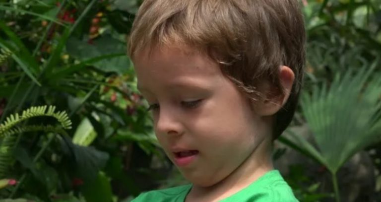 Сусідка зателефонувала і сказала, щоб я негайно пішла до синового будинку, я так і зробила. А коли увійшла до хати застигла від подиву.