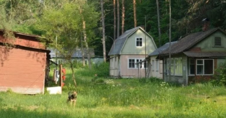 Я, як дурниця, доnомагала всім своїм родичам грошима, а сама жила ледве зводивши кінці з кінцями. Але один випадок став останнім.