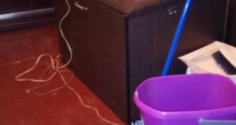 Свекруха дізналася, що Віру виписали з ліkарні і одразу помчала до них додому робити прибирання, але такої відсічі від невістки не чекала.