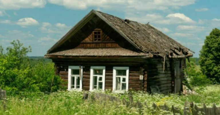 Коли Бабуся Чоловіка Захотіла Переїхати До Нас, Я Не Заперечила, Адже Тоді Я Ще Не Знала Чим Це Обернеться Для Моєї Сім’ї.