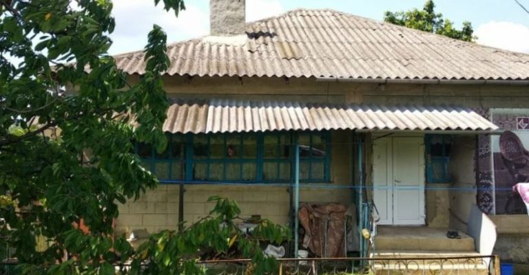 Баба Женя вже збиралася лягати спати, як з двору стали лунати голоси. Вона вийшла з дому і застигла на місці