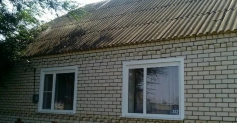 Наталя одна ростила трьох синів. Чоловік поїхав на заробітки, та там і залишився. Поруч з Наташею жила сусідка Ольга з єдиним сином Колею. У них були схожі долі. Ось тільки дітей вони виховували по-різному