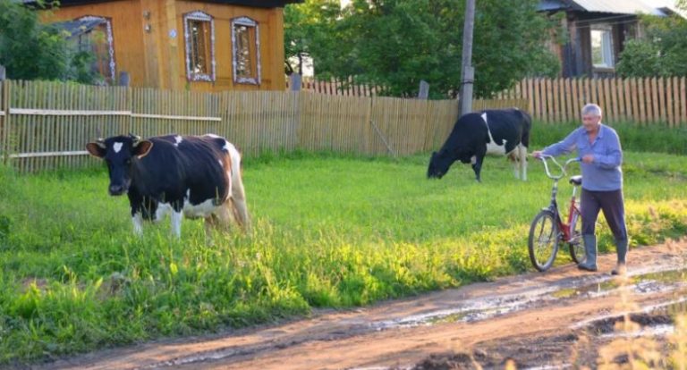 Алеся була така розумна, що їй навіть роботу запропонували за кордоном. Але якє було здивування, коли я дізналася що вона не пішла