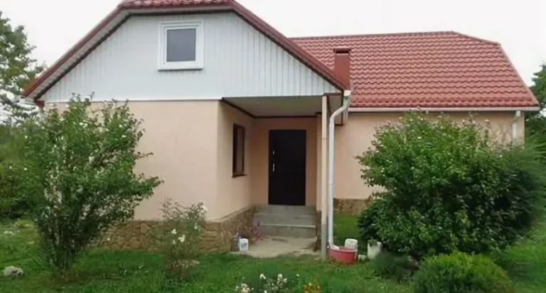 Поживши з тещею близько місяця, я зрозумів, що так не можу. І ми з дружиною оселилися в домі, що лишилося мені від рідні. Але теща і тут не дала нам спокою.