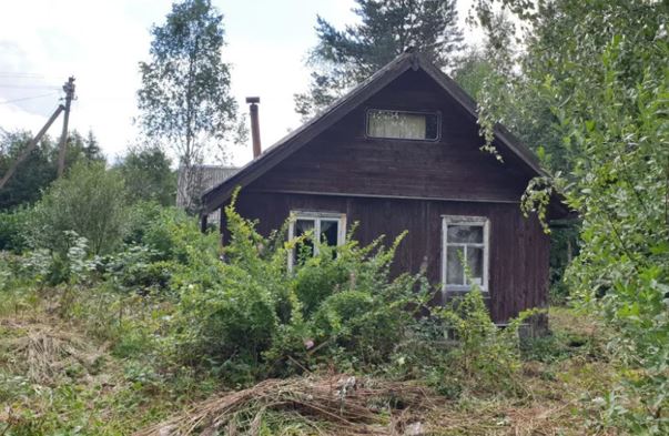 Марті було 50, коли вона вирішила відвідати свій старий будинок у селі. І ось вона вже сиділа у своїй старій хатині, як раптом постукали у вікно