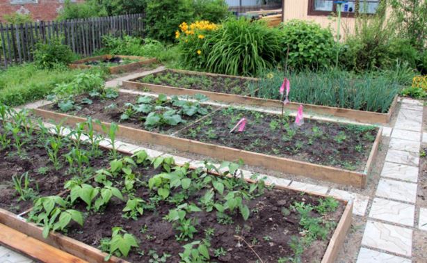 Кожен раз коли до мене приїжджають онуки, я пови нна робити вигляд, що рада їх приїзду. Але насправді – все навпаки