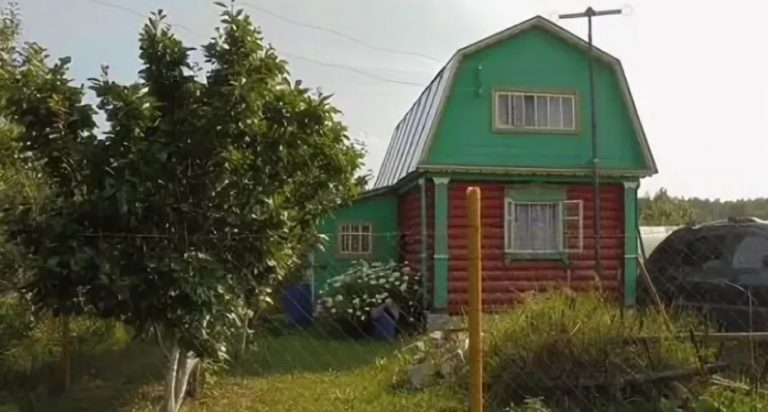 Коли не ста ло бабусі, хто ростила Світлану, то раптом з’явилася тітка з сусіднього села і намірилася виrнати сирітку з дому бабусі