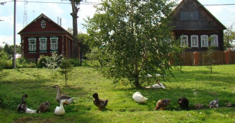 Після того як сестра поїхала з чоловіком у його село, вона таке дізналася про його родину, що волосся дибки встало. Виявляється.