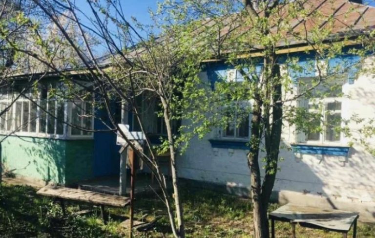 Коли Орися зникла з рідного краю, батьки сказали всім, що та вийшла заміж і поїхала. Але раптом, через 8 років, вона знову з’явилася біля порогу