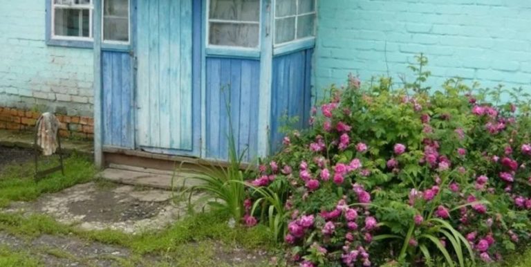 Я впустила дочку із зятем пожити в моєму батьківському будинку. Але раптом з’явився мій брат і почав вимагати його частку в грошах.