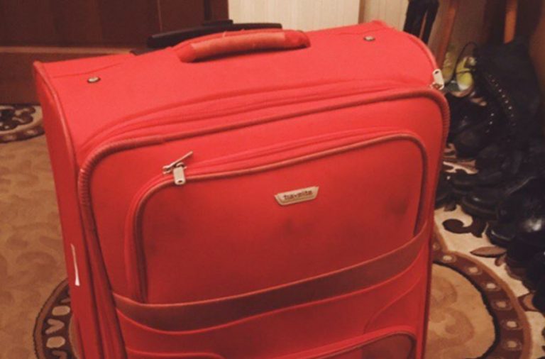 Зоя була рада переїзду до неї племінниці, бо вона не хотіла залишатися вдома сама. Але з першого дня Зоя зрозуміла в яку халепу потрапила.